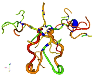 Automatic Branch Decomposition for Tubular Structures